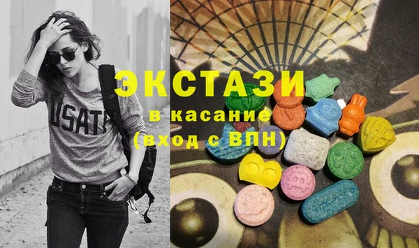 ECSTASY Бородино